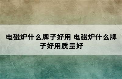 电磁炉什么牌子好用 电磁炉什么牌子好用质量好